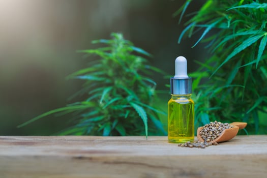 Cannabis seeds and CBD oil cannabis extract, green hemp leaf background, Medical cannabis concept. photo