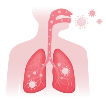 Infected person spreads covid, virus human lungs vector