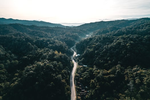 Road in the forest rainy season nature trees and fog travel photo
