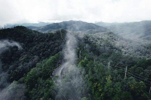 Road in the forest rainy season nature trees and fog travel photo