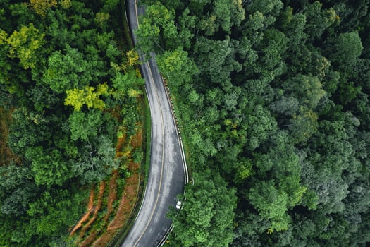 Road in the forest rainy season nature trees and fog travel photo