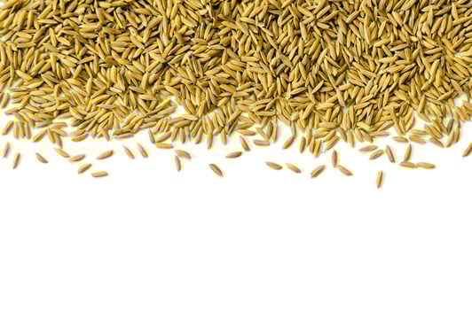 Top view paddy rice and rice seed, Brown of rice grain and rice pile. photo