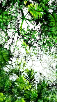 Tropical green leaf abstract background with silhouette and high contrast photo