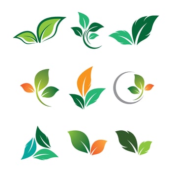 Leaf logo images vector