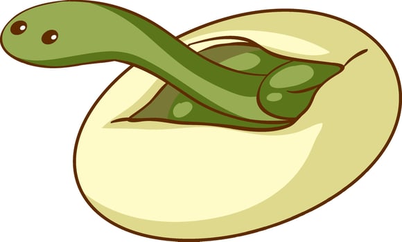 Green snake hatching from an egg vector