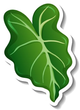 A sticker template with a tropical leaf isolated vector