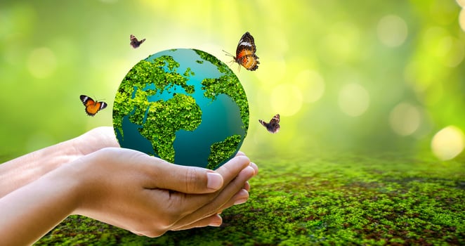Concept of save the world, save the environment photo
