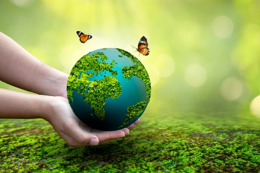 Concept of save the world, save the environment photo