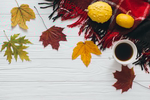 Autumn Halloween composition photo