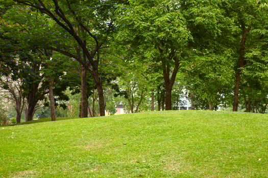 Little hill and many tree in Thailand photo