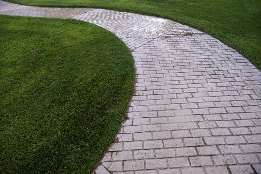 Cobblestone road in the grass photo