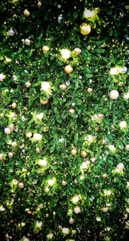 Christmas Tree Background Texture. Hanging decoration. photo
