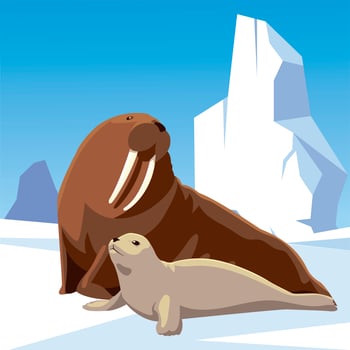 walrus and seal together arctic iceberg north pole vector