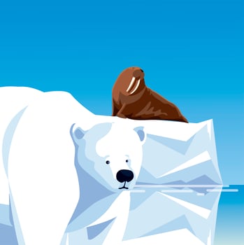 walrus on iceberg and polar bear water north pole animals vector