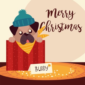 merry christmas cute dog in box greeting card vector