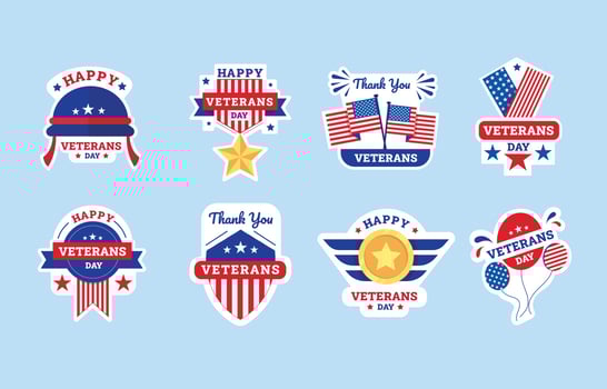 US Veterans Day Sticker vector