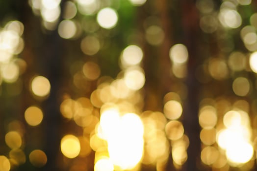 Abstract nature blur background blurred tree and bokeh tree. photo