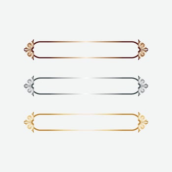 Luxury Gold Border Set vector