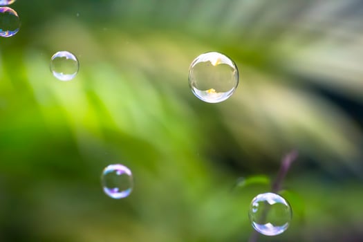 Water bubbles floating and falling on green leaves photo