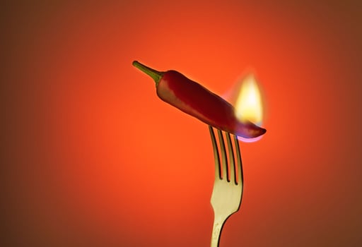 Red chili peppers on fork with fire on gradient background photo