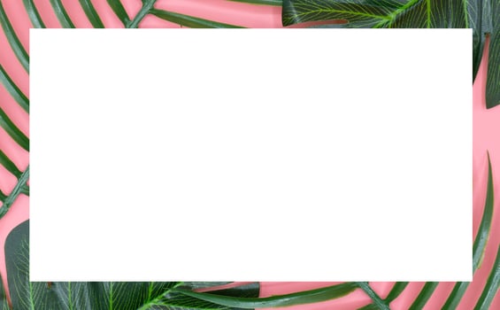 White space on green leaves and pink background photo