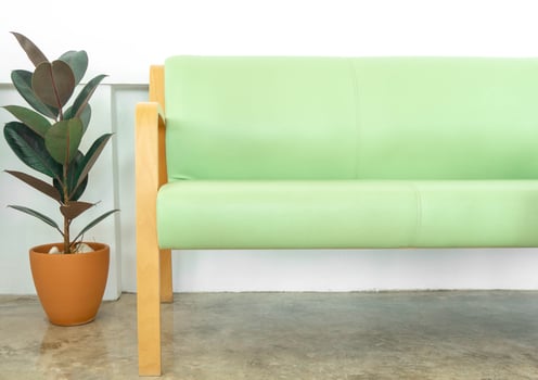 Houseplant and long chair photo