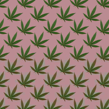 Hemp or cannabis leaves seamless pattern photo