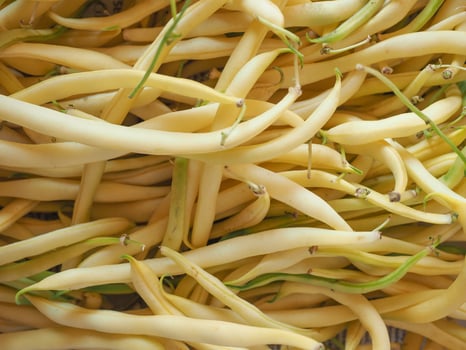 Yellow green string snap beans photo