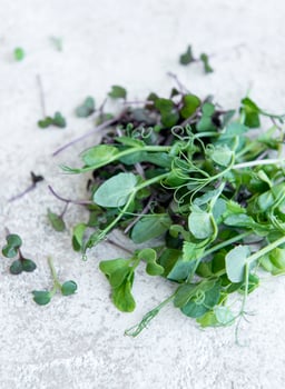 Assortment of micro greens on concrete background photo