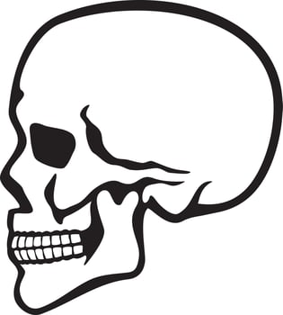 Human Skull Profile vector