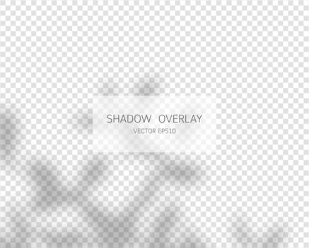 Shadow overlay effect. Natural shadows on transparent background. vector