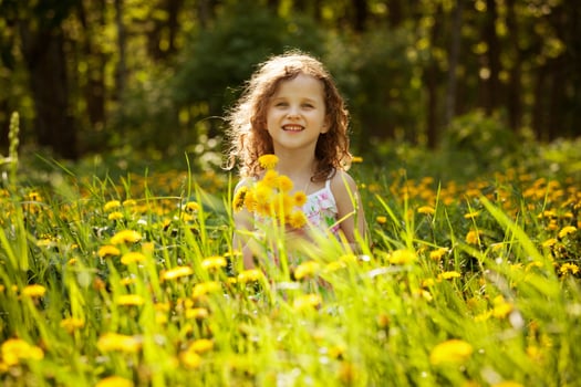 Little girl with a bouquet of dandelions photo