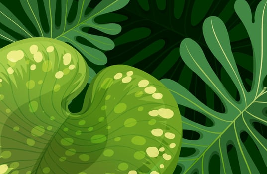 Green tropical leaves background vector