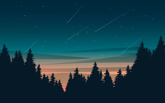 Starry Night With Pine Trees vector