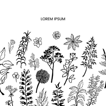 Floral template with plants and flowers. Hand draw frame vector