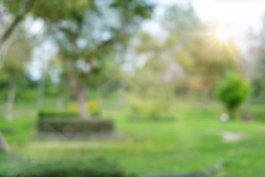 Blur nature bokeh green park. photo