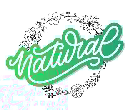 100 Natural Vector Lettering Stamp Illustration slogan calligraphy