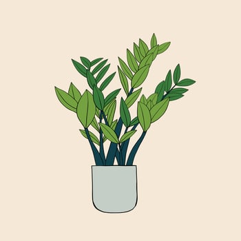 Simplicity zanzibar gem plant simplicity freehand drawing flat design. vector