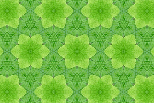 Green abstract textured background photo