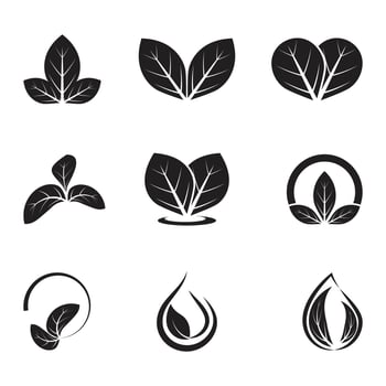 Leaf icon Vector Illustration design Logo template