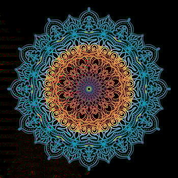 Black and Gold Mandala flower vector
