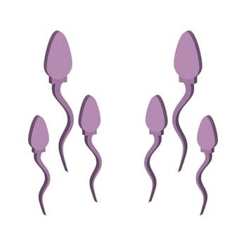 Sperm Illustrated On White Background vector