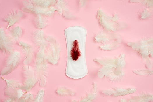 Hygienic pad, feather on the pad. Concept of critical days. photo