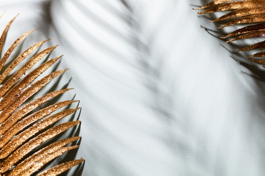 Gold palm leaves and shadows on a blue wall background. photo