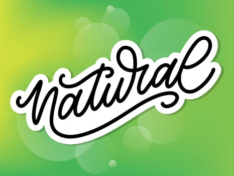100 Natural Vector Lettering Stamp Illustration slogan calligraphy