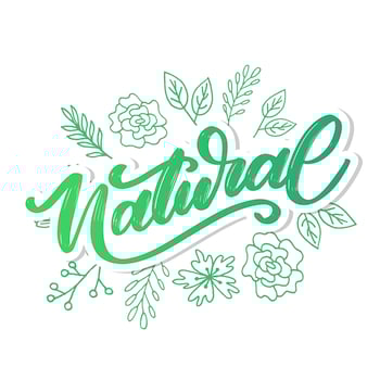 100 Natural Vector Lettering Stamp Illustration slogan calligraphy