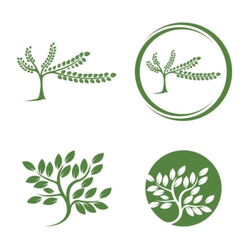 tree logo vector