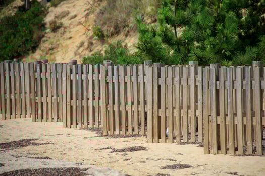 Rows of a wooden fence on a sandy beach photo