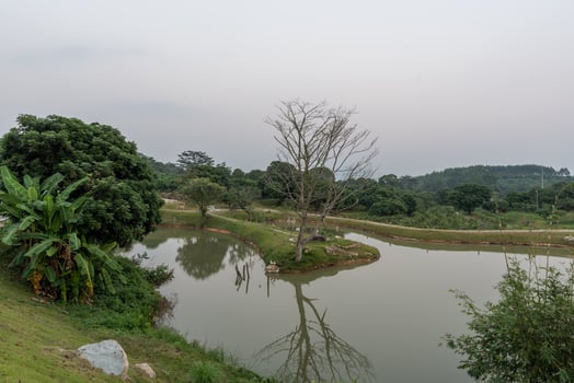 The artificial lake in the park and the roads and trees by the lake photo