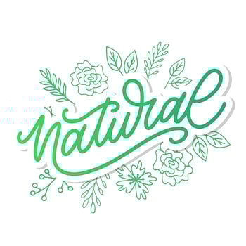 100 Natural Vector Lettering Stamp Illustration slogan calligraphy
